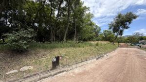 Acceso y área arbolada en El Carmen, Atlixco, Puebla