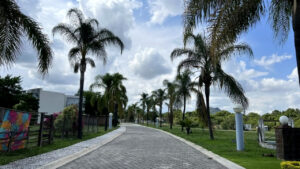 Acceso y vegetación del entorno en Las Monjas, Atlixco, Puebla