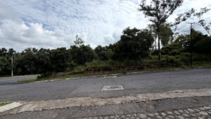 Frente arbolado y vialidad en Haras del Bosque, Puebla