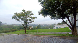 Vista arbolada del entorno del terreno en Lomas de Angelópolis I, Puebla