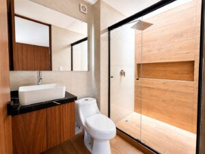Baño de casa en Parque Colima, Puebla